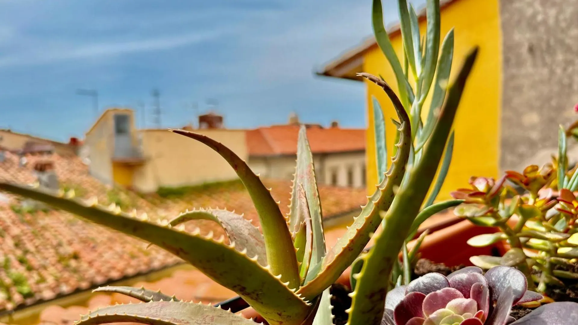 Appartement Vista - Vivi La Storia In Prima Fila à Pise 0*,  Italie